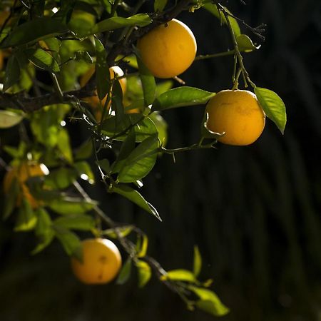 Casa Rural La Escalerilla Teror Zewnętrze zdjęcie